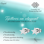 Ster oorstekers zilverkleur RVS – 6mm tijdloos