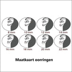 De vier types van het oor