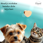 Goudkleurige asbedel hart – staal – 13mm