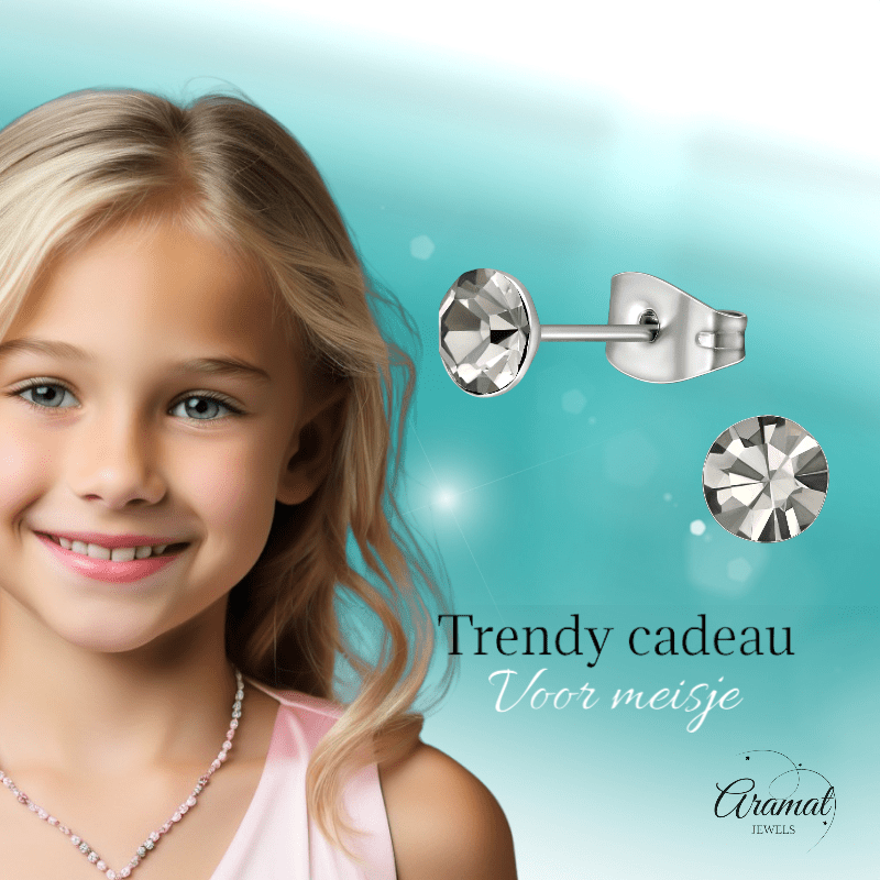 Stalen Kristal Oorbellen met Black Diamond steentje – Zilverkleur – 5mm - Aramat Jewels - Oorbellen - cadeautip