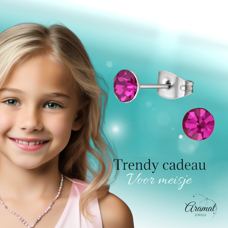Stalen Kristal Oorbellen met fuchsiaroze steentje – Zilverkleur – 5mm - Aramat Jewels - Oorbellen - cadeautip