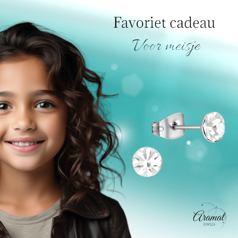 Stalen Kristal Oorbellen met transparant steentje – Zilverkleur – 5mm - Aramat Jewels - Oorbellen - cadeautip