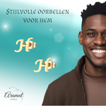 Goudkleurige RVS oorstekers Letter H