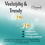 Goudkleurige RVS oorstekers Letter H