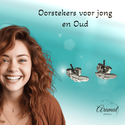 Stalen Oorstekers Veertjes Zilverkleur – 9x3mm - Aramat Jewels - Oorbellen - cadeautip