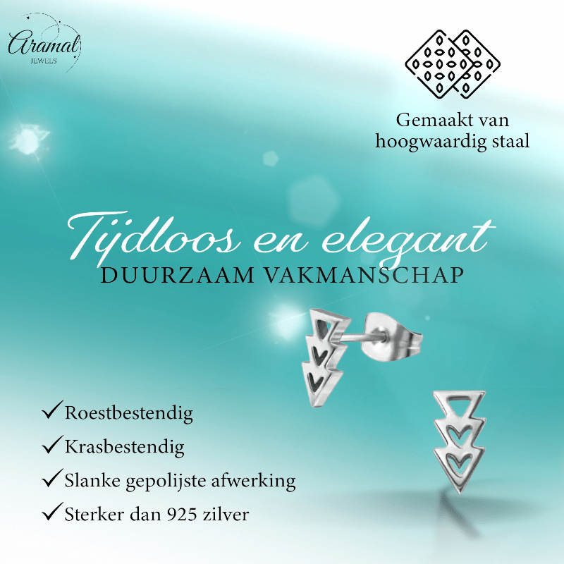 Stalen Pijltjes Oorbellen Zilverkleur 9x5mm - oor3318 - 29800 - Oorbellen kopen# - 9mm - alles - cadeau