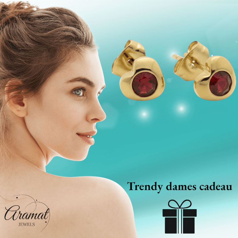 Stalen Rode Zirkonia Hart Oorbellen - Aramat Jewels - Oorbellen - cadeautip