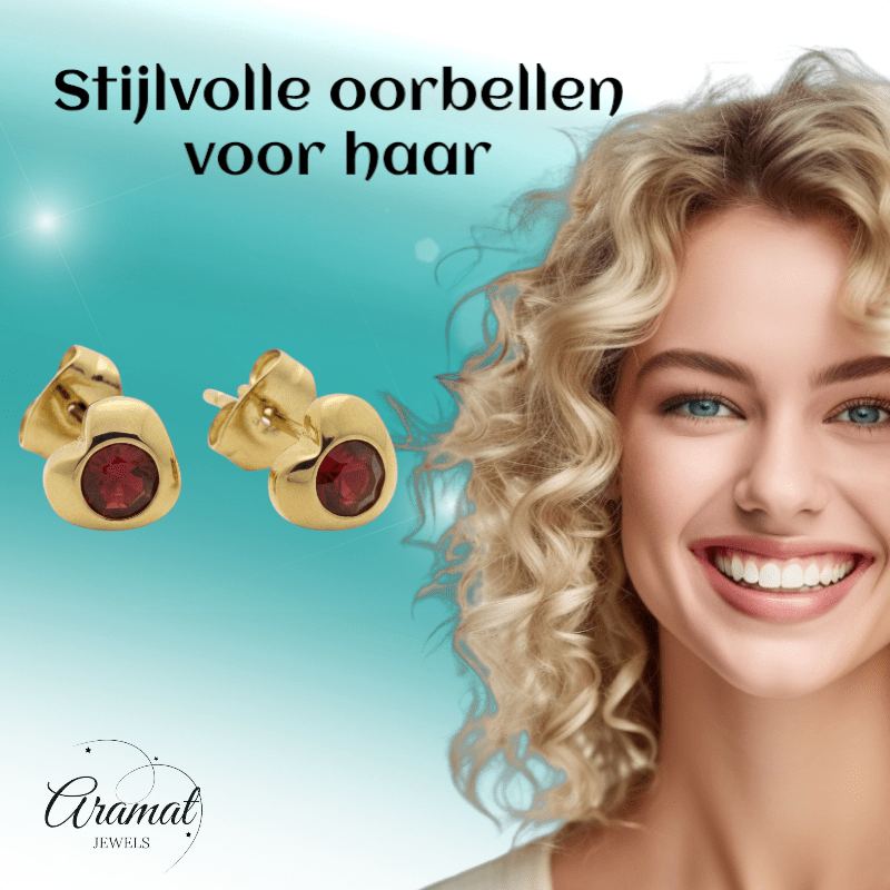 Stalen Rode Zirkonia Hart Oorbellen - Aramat Jewels - Oorbellen - cadeautip