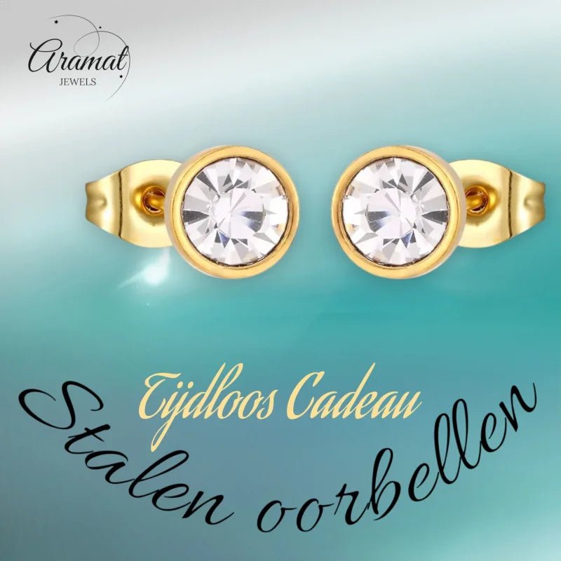 Stalen Ronde Oorbellen met Transparante Kristal-8mm | Oorbellen