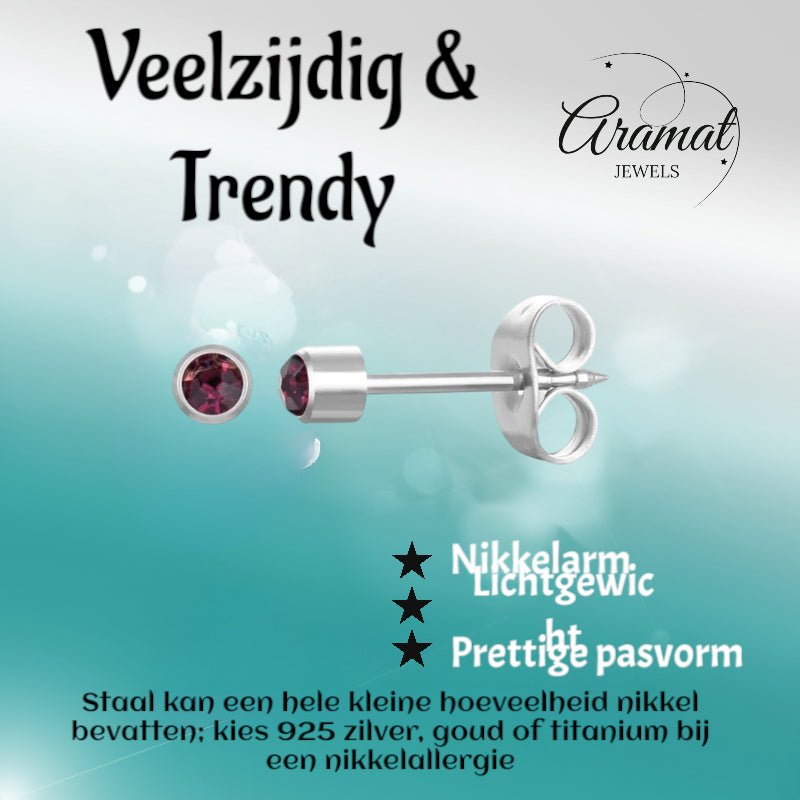 Stalen Schietoorbellen met Kristalsteentje vanaf 3mm - Aramat Jewels - Oorbellen - cadeautip