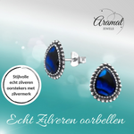 Zilveren Abalone Oorbellen 12x9 mm