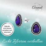 Zilveren Paars Abalone Oorbellen 12x9 mm