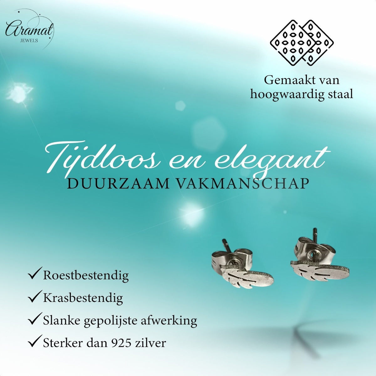 Stalen Oorstekers Veertjes Zilverkleur – 9x3mm