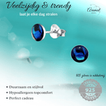 Zilveren Blauwe Abalone Oorbellen 5.5 mm - oor5282 - 30895 - Oorbellen kopen# - 5.5mm - 925 Zilver - Abalone