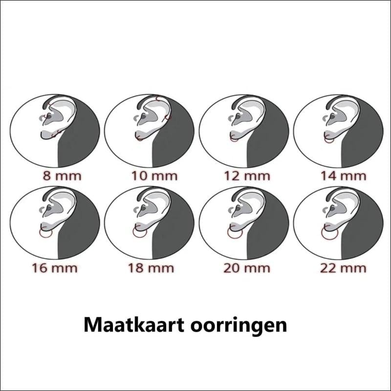 Vier Soorten Van Het Oor Tentoongesteld In Zilveren Filigraan Oorhangers 925 Zilver.