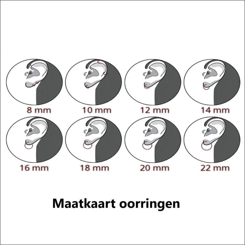 Vier Types Van Het Oor In Roze Ronde Zirkonia Oorhangers, 925 Zilver.