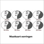 Vier Types Van Het Oor In Roze Ronde Zirkonia Oorhangers, 925 Zilver.