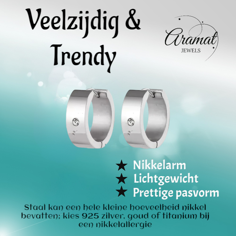 Brede Huggie Oorringen 20x7mm Zilverkleur