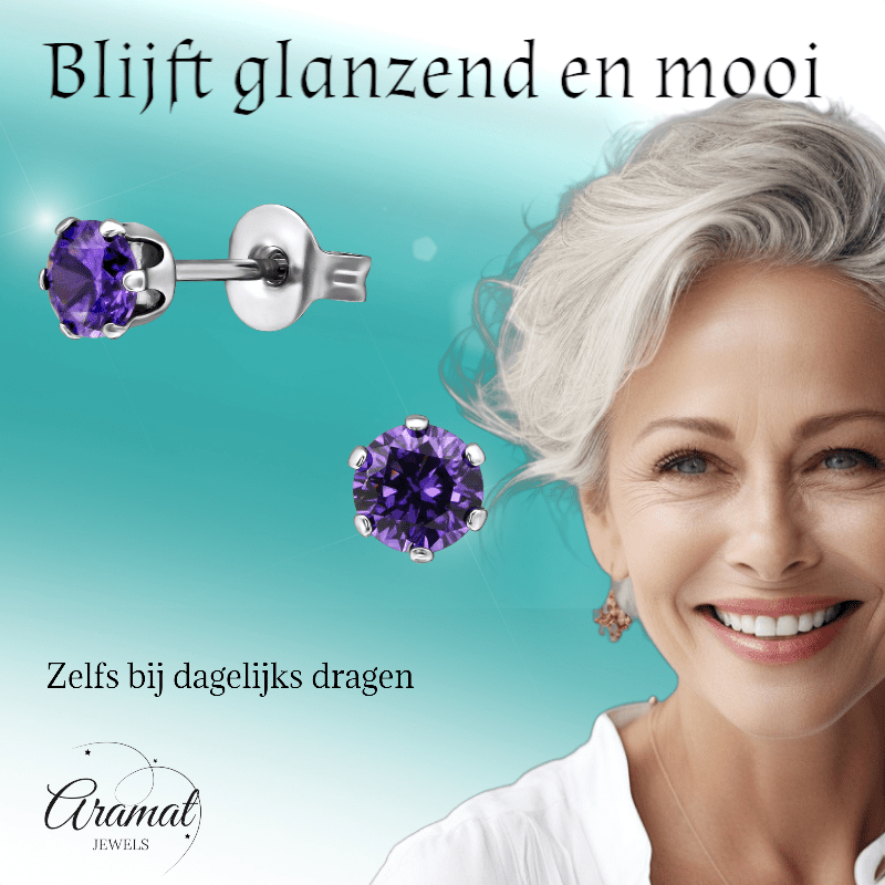 Zirkonia Oorbellen 4mm Paars RVS - Aramat Jewels - Oorbellen - cadeautip